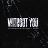 Without You (feat. Davisax) - Single