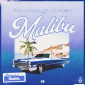 Malibu artwork