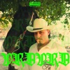 VRDVRD 1