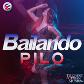 Bailando (Cover By Enrique Iglesias) artwork