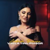 Vin la tine puisor - Single