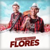 Mãos Que Oferecem Flores - Single