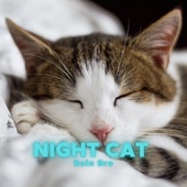 Night Cat artwork