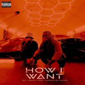 How I Want (feat. Marcolen Hayes) artwork