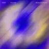 Porcelain (Bambounou Remix) [feat. Jim James] - Single album lyrics, reviews, download