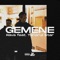 Gemene (feat. RAVA) - Tânărul $tar lyrics