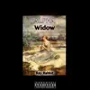 Alpha Widow - Single album lyrics, reviews, download