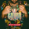 CALMA (SPANISH VERSION) - Single