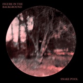 FIGURE IN THE BACKGROUND by SNAKE POOL