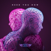 Need You Now (Radio Edit) artwork