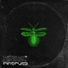 Fireflies - Single