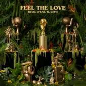 Feel The Love (feat. R. City) artwork