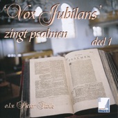 'vox Jubilans' Zingt Psalmen - Deel 1 (feat. Pieter Stolk) artwork