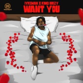 Want You artwork