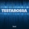Testarossa - DMT lyrics