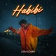 HABIBI cover art