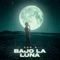 Bajo La Luna artwork