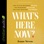 What's Here Now?: How to Stop Rehashing the Past and Rehearsing the Future--and Start Receiving the Present