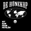 Wy kam fram Fryslân (feat. Oele Plop) - Single
