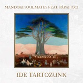Ide tartozunk (feat. Pápai Joci) artwork