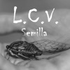 Semilla