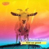 Feel so Good (feat. Frank Ireri) artwork