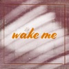 Wake Me - Single