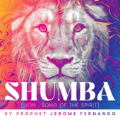 Shumba (Lion: Song of the Spirit) artwork