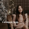 S-A Coborat Mesia - Single