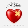 Has Sanado Mi Vida - Single