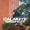 Calamite - Single