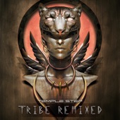 We Are a Tribe (Ujjayi Soundsystem Remix) artwork