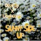 Sunny Side Up artwork