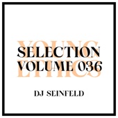 Young Ethics Selection, Vol. 036 (DJ Mix) artwork