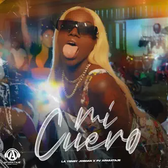 Mi Cuero by La Yensy Jordan & PV Aparataje song reviws