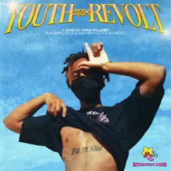 Youth in Revolt (feat. Medici) - Single by Paris Williams album reviews, ratings, credits