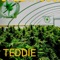 Greenhouse Effect - Teddie Gramz lyrics