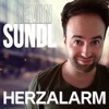 Herzalarm - Single