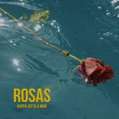 ROSAS artwork