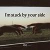 I'm Stuck by Your Side