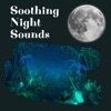 Soothing Night Sounds for Sleeping