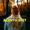 Silent & Grey - Single