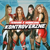 Kontroverzne artwork