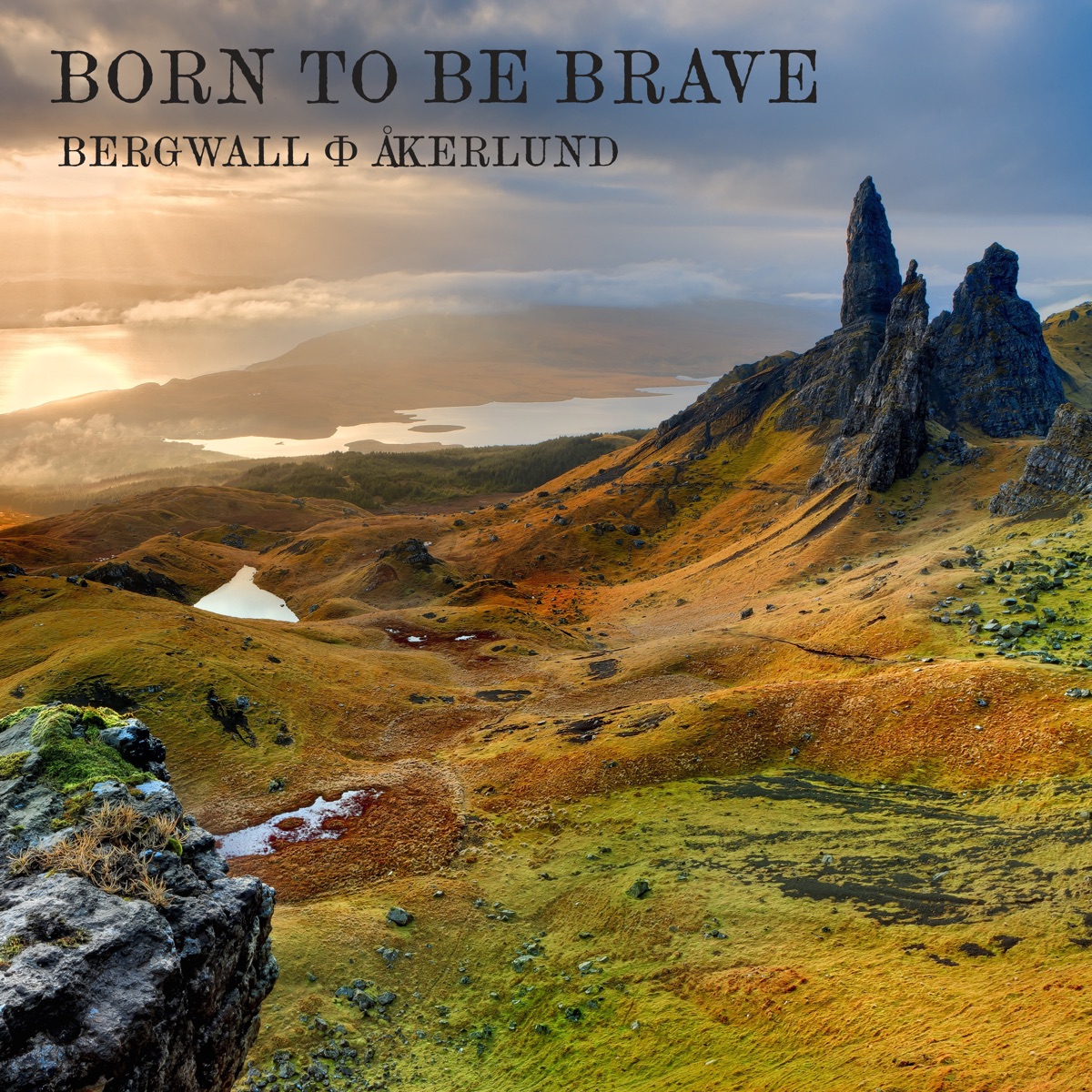 Born to Be Brave - Single by Bergwall & Åkerlund on Apple Music