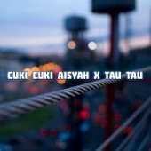 CUKI CUKI AISYAH X TAU TAU artwork