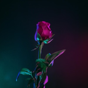 Lovefool - Single
