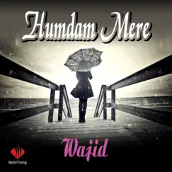 Humdam Mere - Single by Wajid album reviews, ratings, credits