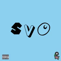 SVO (feat. TCB & Vinny Schuetz) - Single by Naj Mahal album reviews, ratings, credits