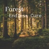 Forest - Single