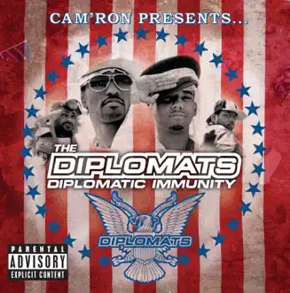 I Really Mean It (Skit 1) by The Diplomats song reviws